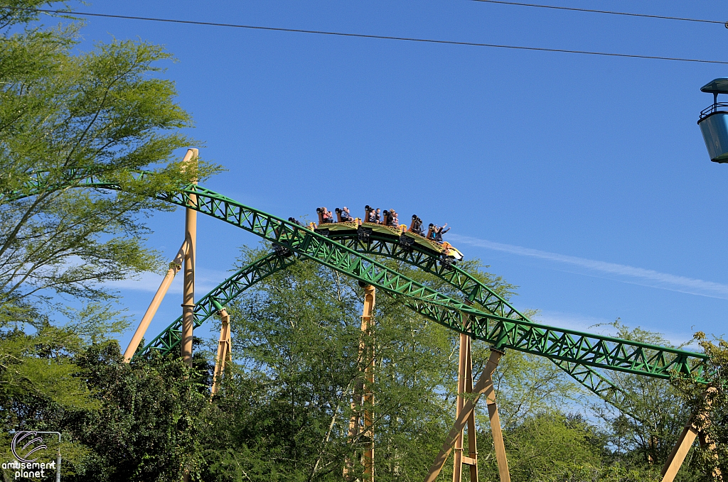 Cheetah Hunt