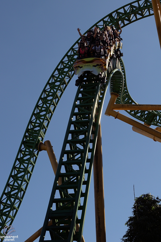 Cheetah Hunt