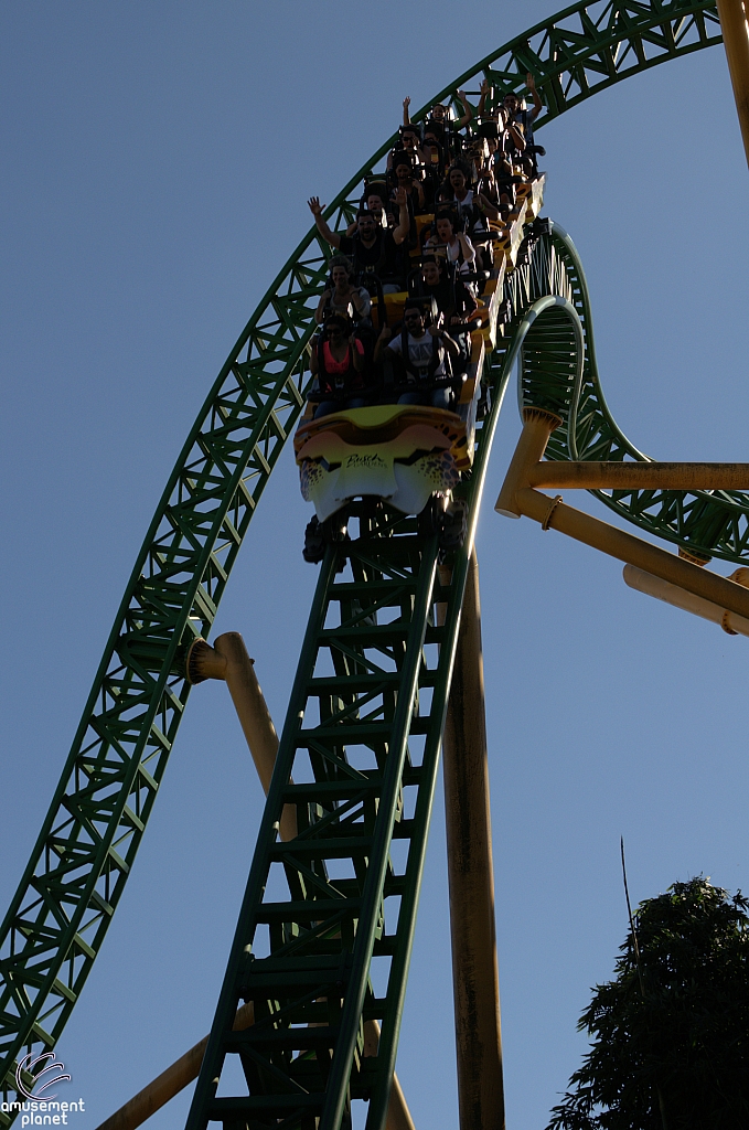 Cheetah Hunt