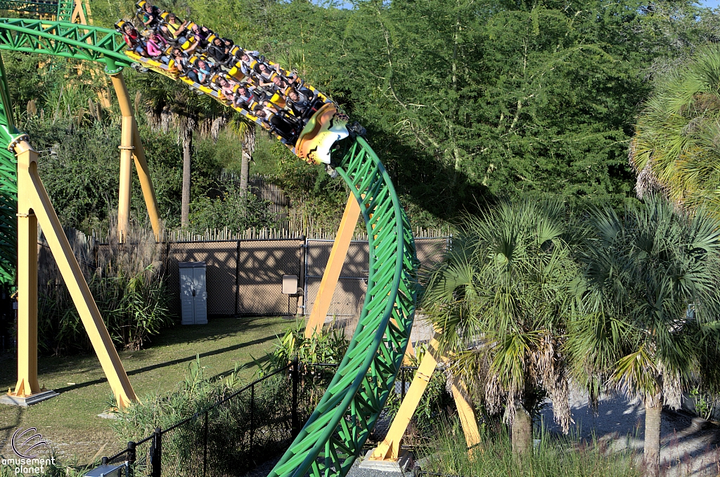 Cheetah Hunt