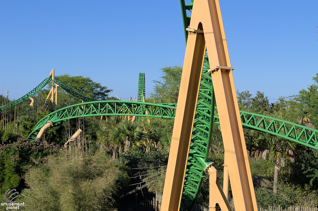 Cheetah Hunt