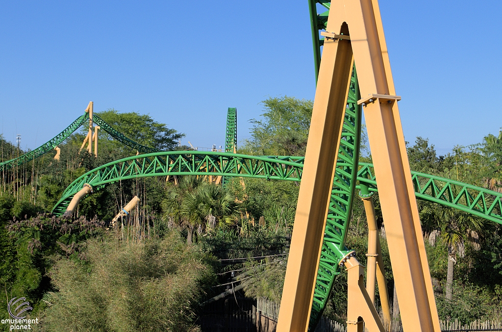 Cheetah Hunt