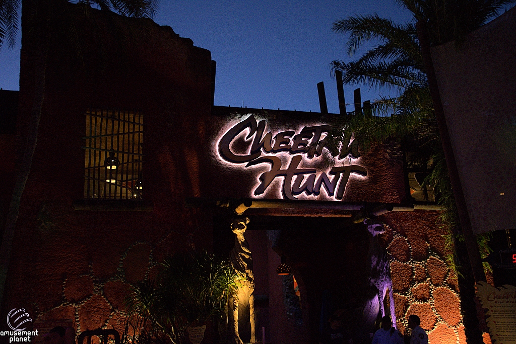 Cheetah Hunt