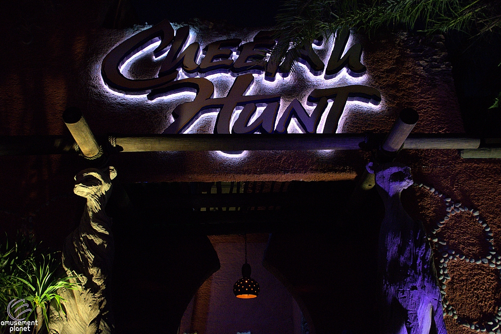 Cheetah Hunt