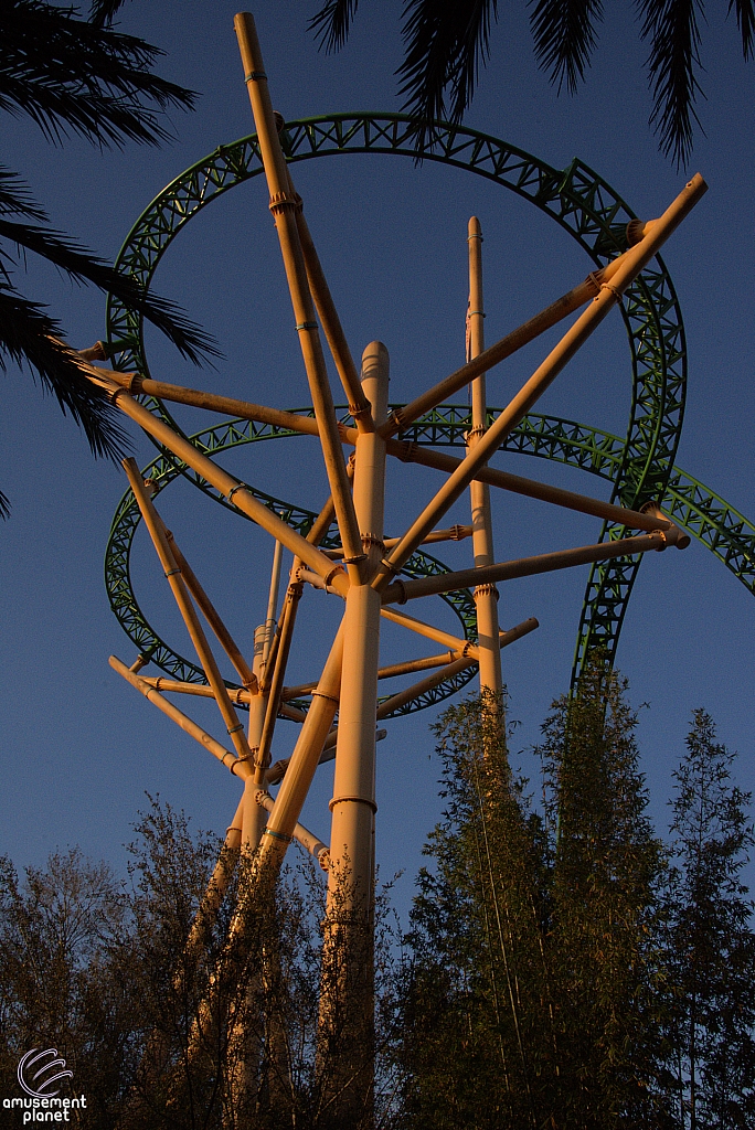 Cheetah Hunt