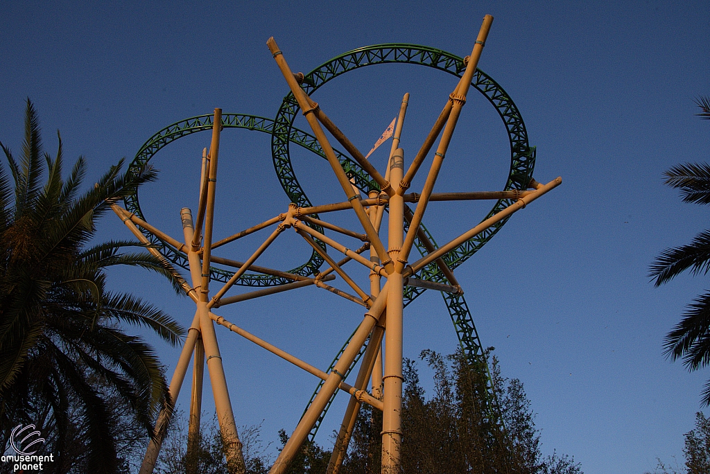 Cheetah Hunt