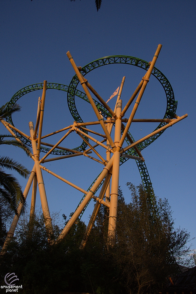 Cheetah Hunt