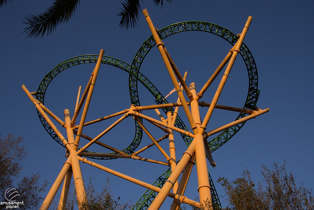 Cheetah Hunt