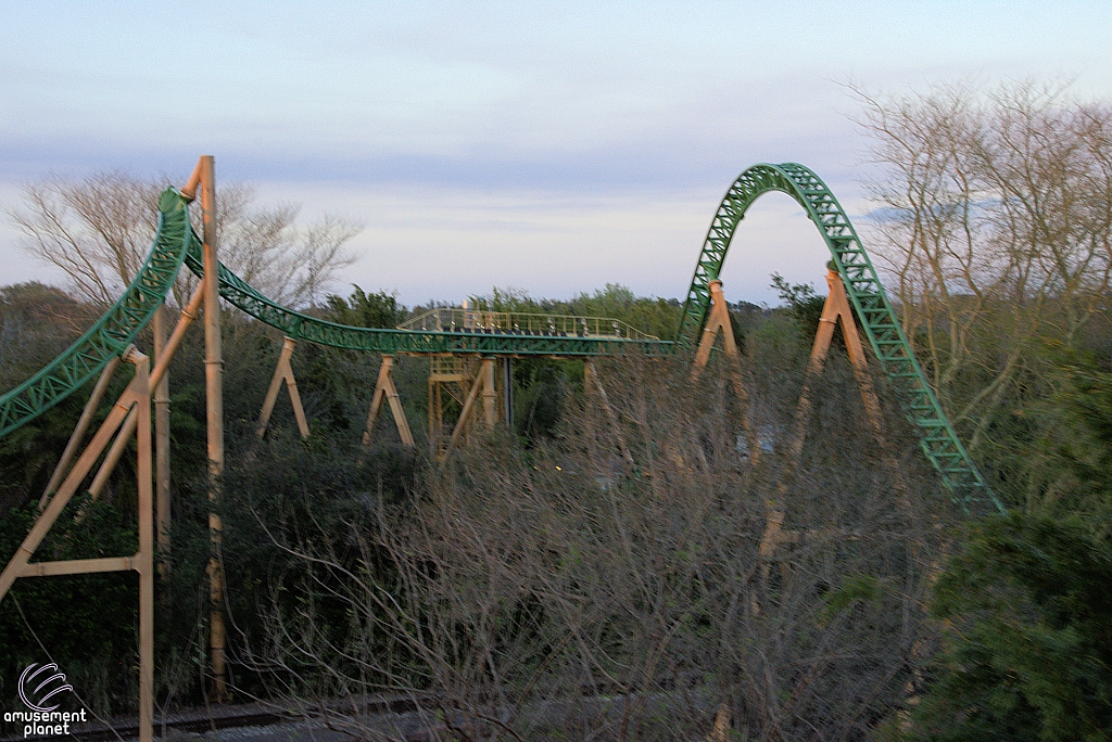 Cheetah Hunt