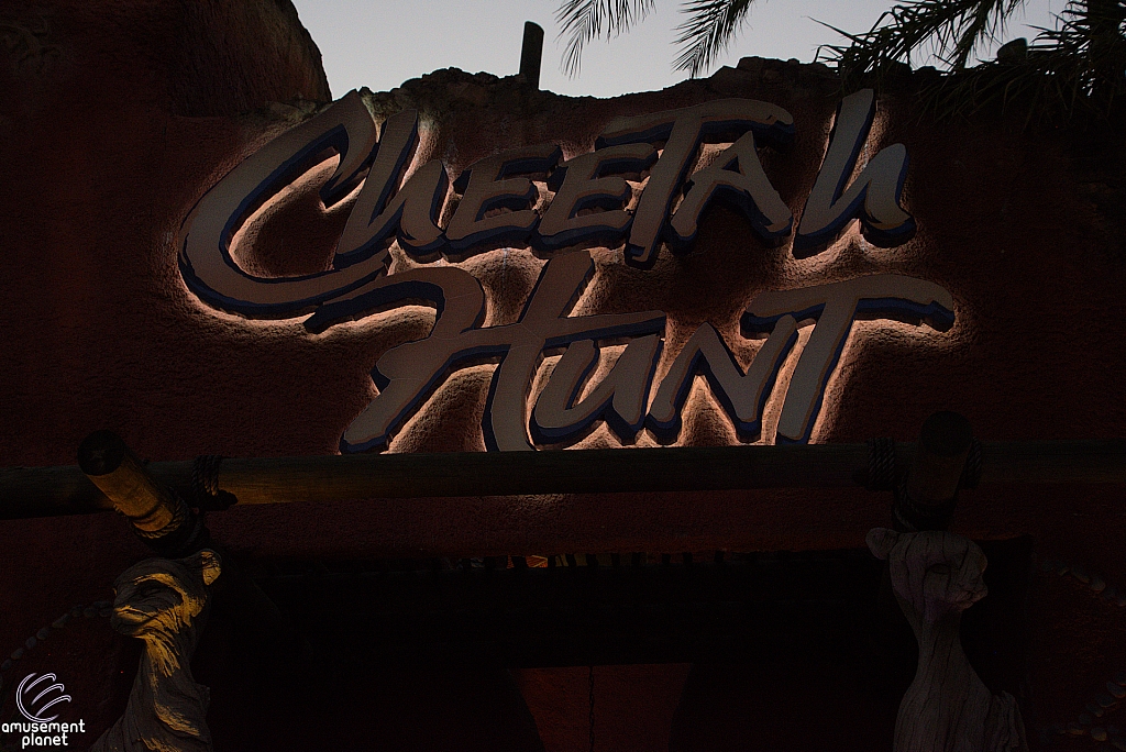 Cheetah Hunt