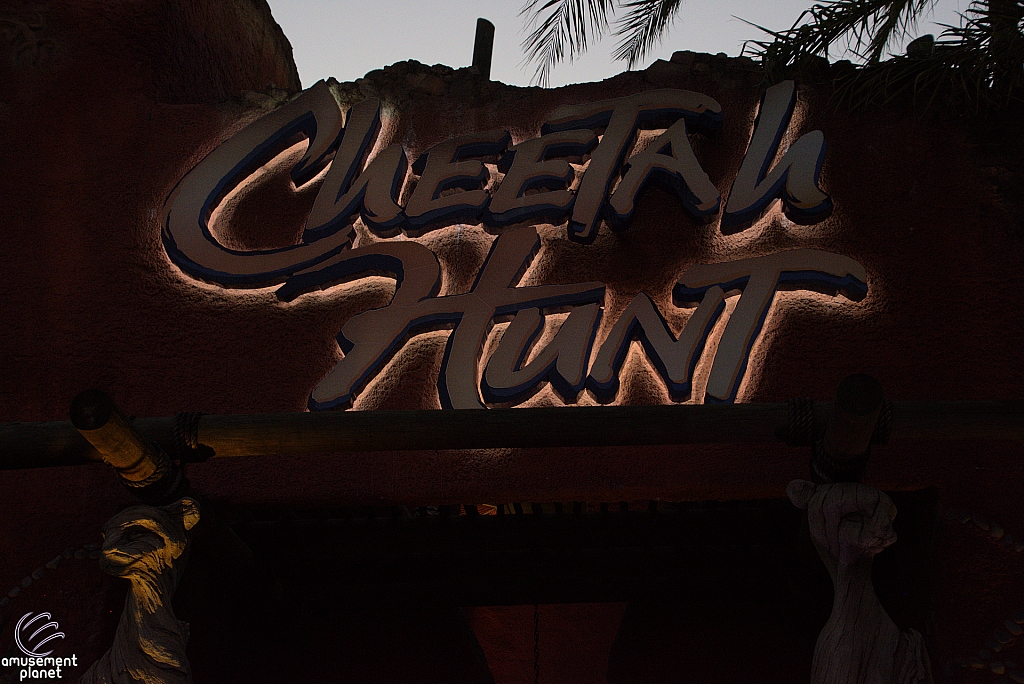 Cheetah Hunt