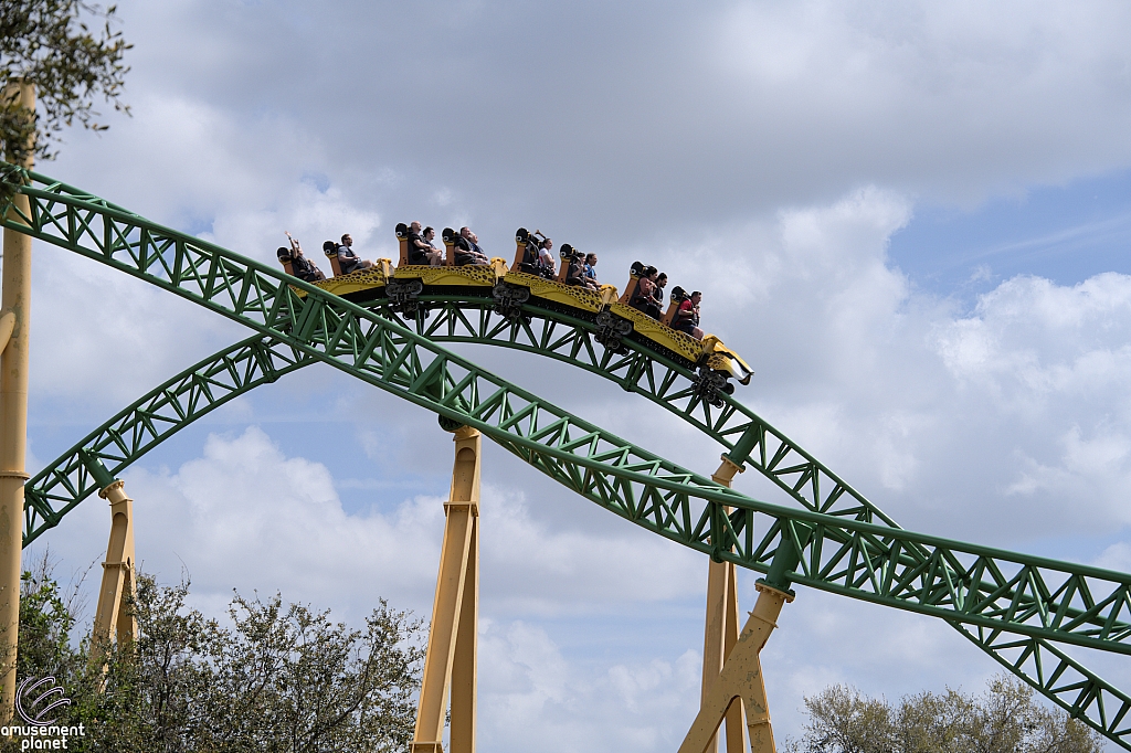 Cheetah Hunt