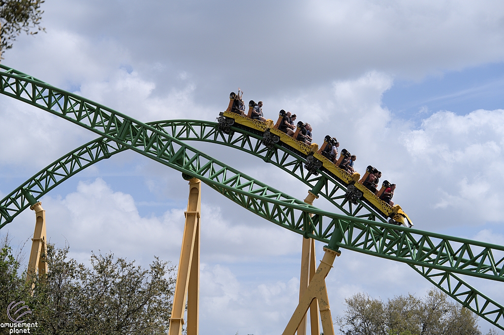 Cheetah Hunt