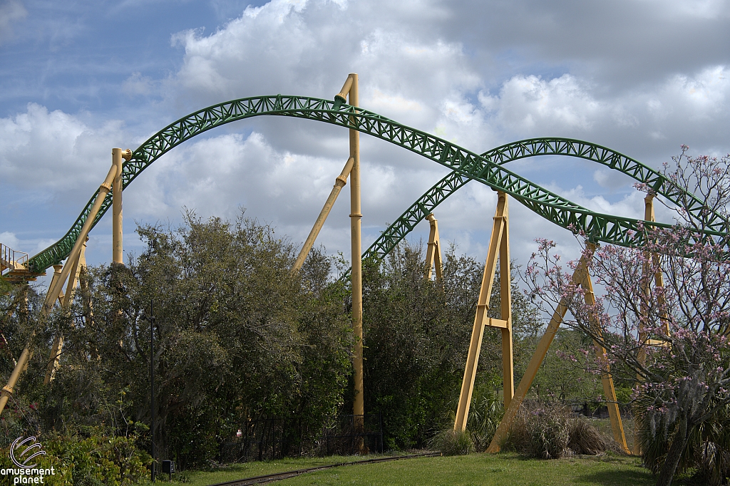 Cheetah Hunt