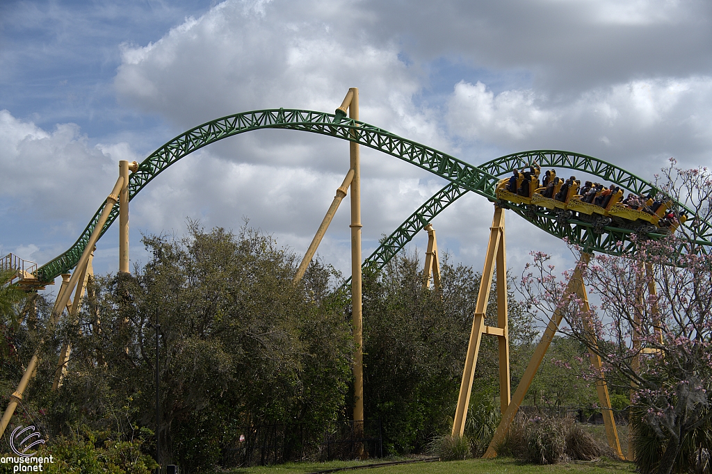 Cheetah Hunt