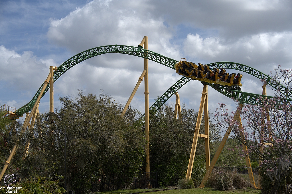 Cheetah Hunt