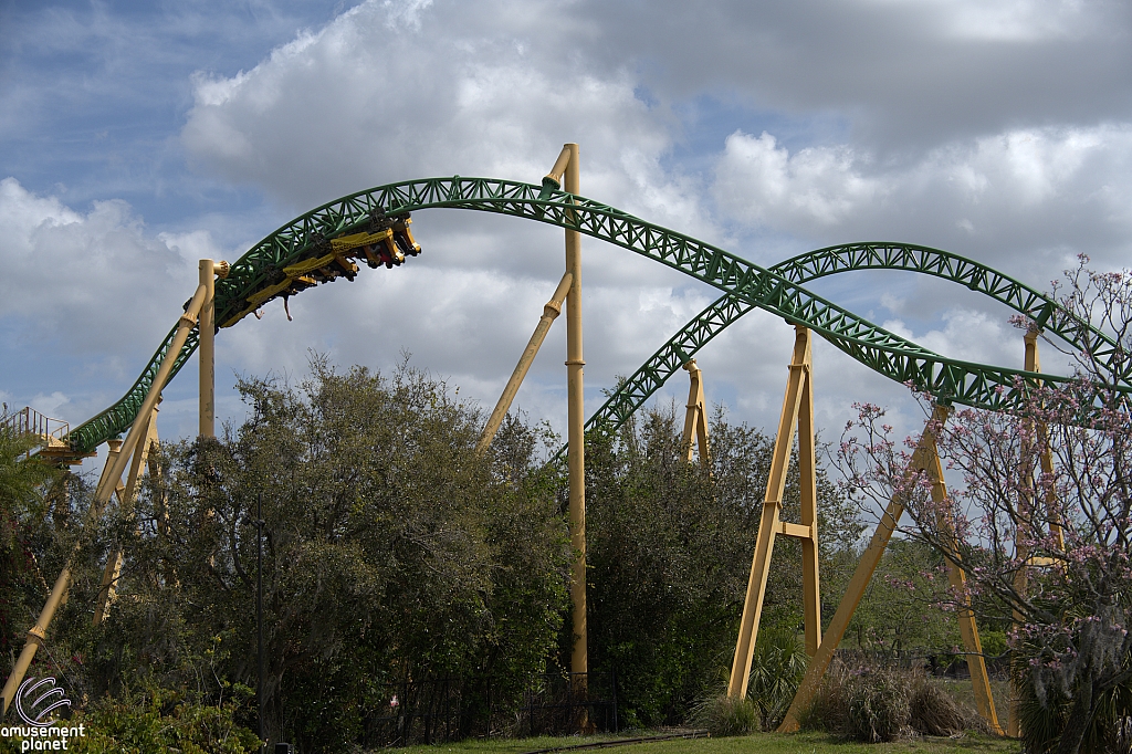 Cheetah Hunt