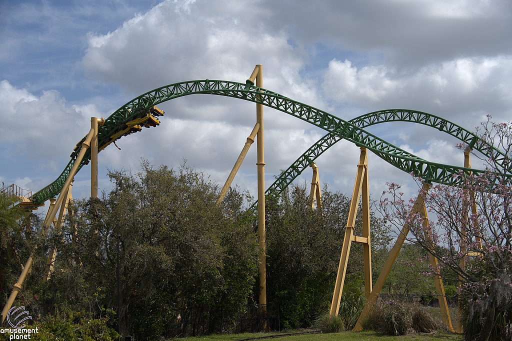 Cheetah Hunt