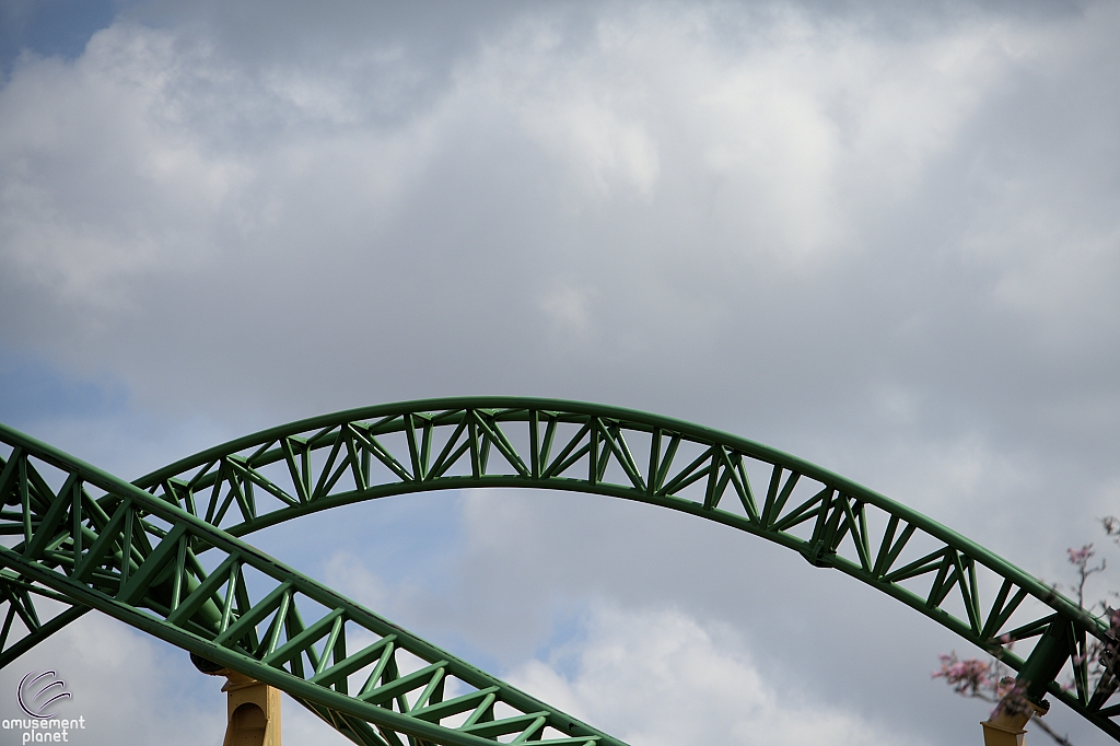 Cheetah Hunt