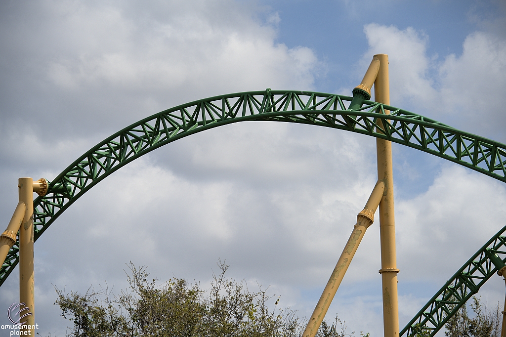 Cheetah Hunt
