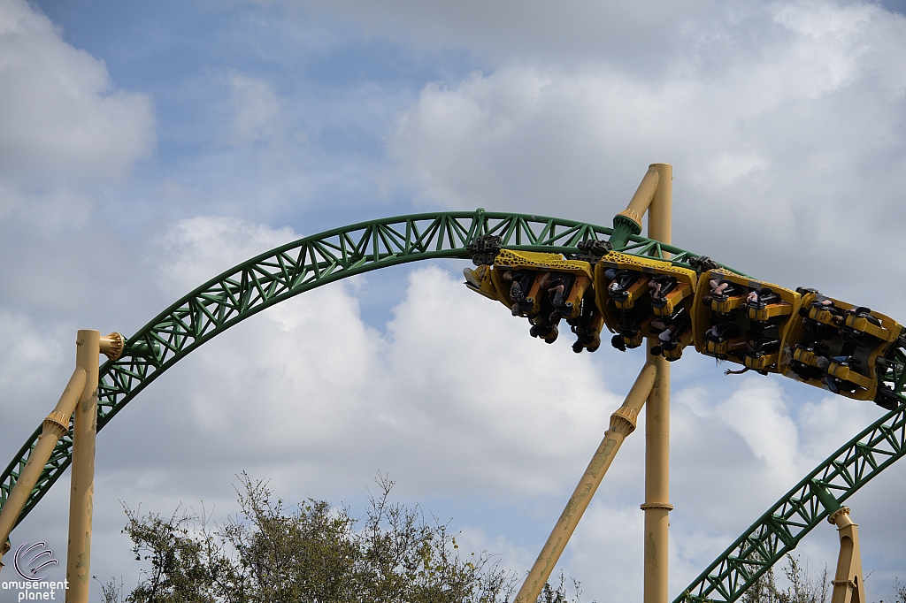 Cheetah Hunt