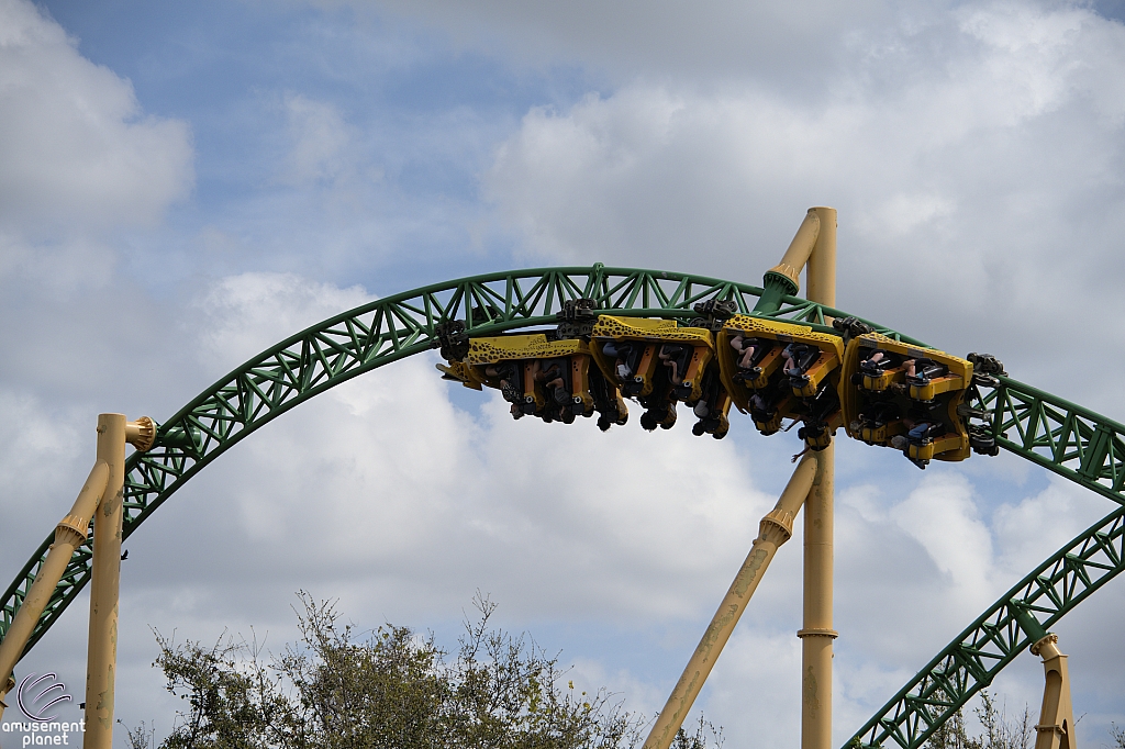 Cheetah Hunt