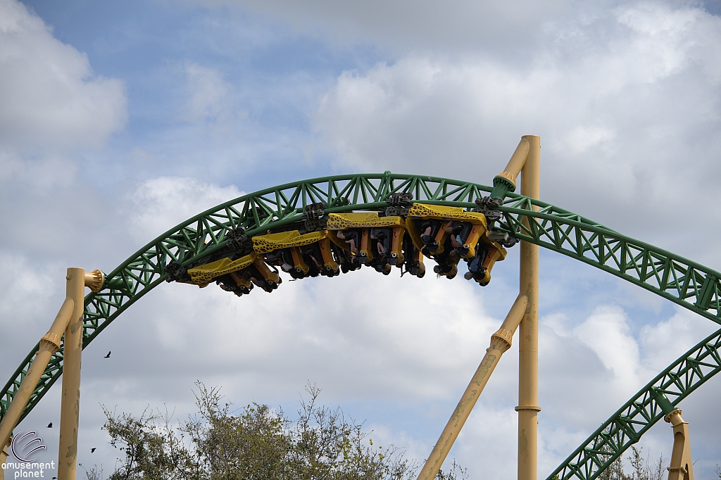 Cheetah Hunt