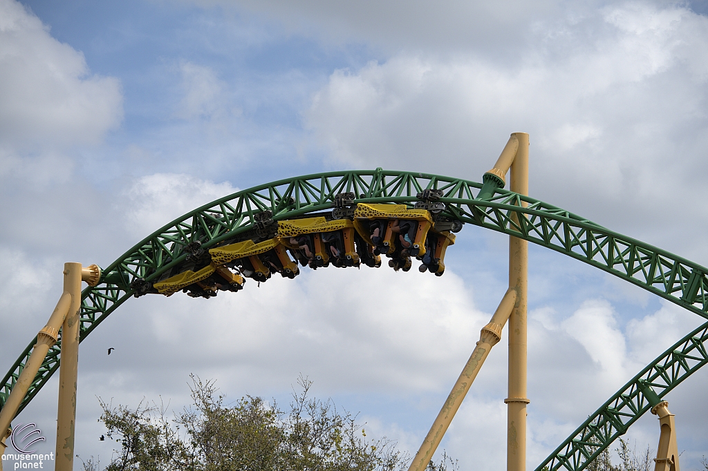 Cheetah Hunt