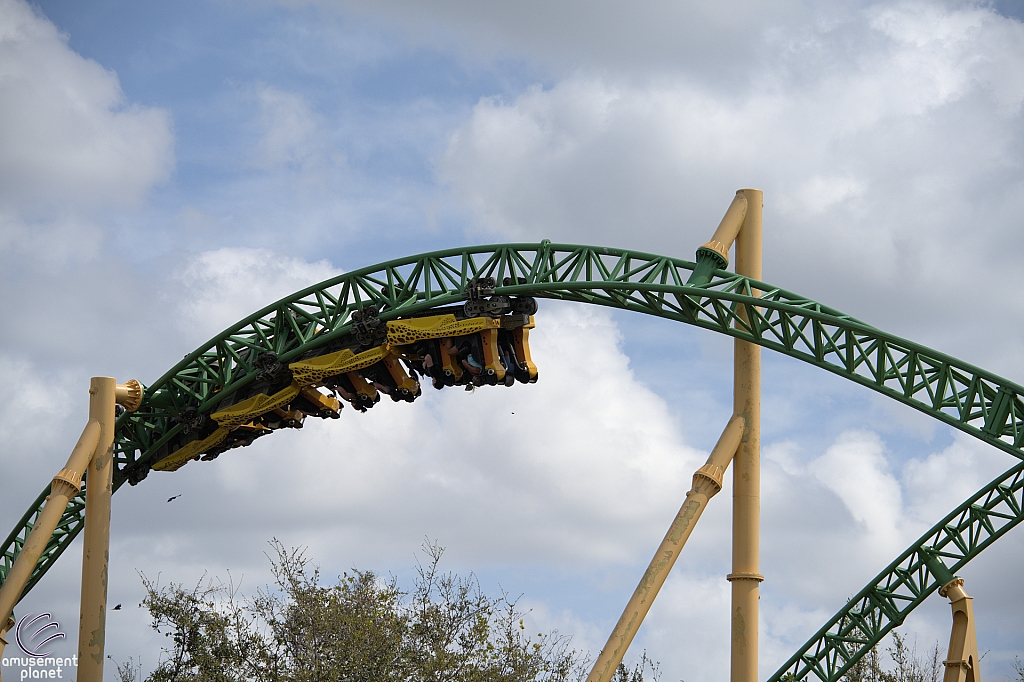 Cheetah Hunt