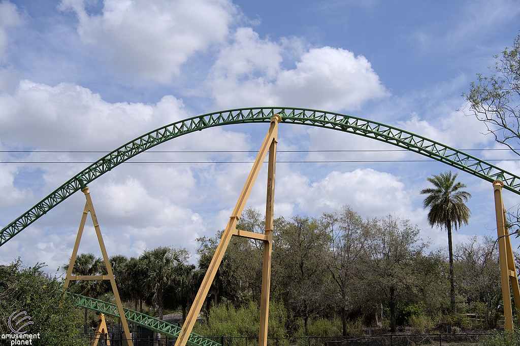 Cheetah Hunt