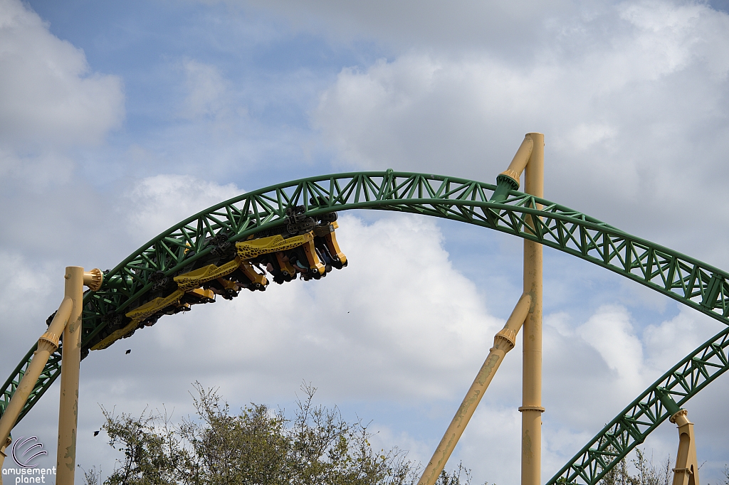 Cheetah Hunt