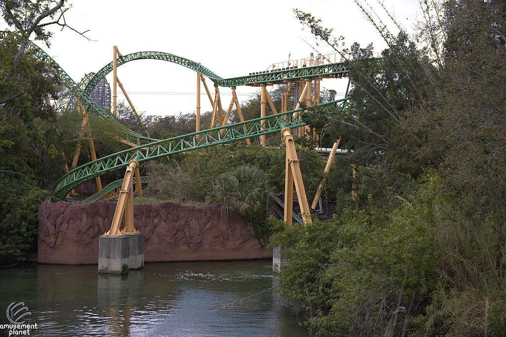 Cheetah Hunt