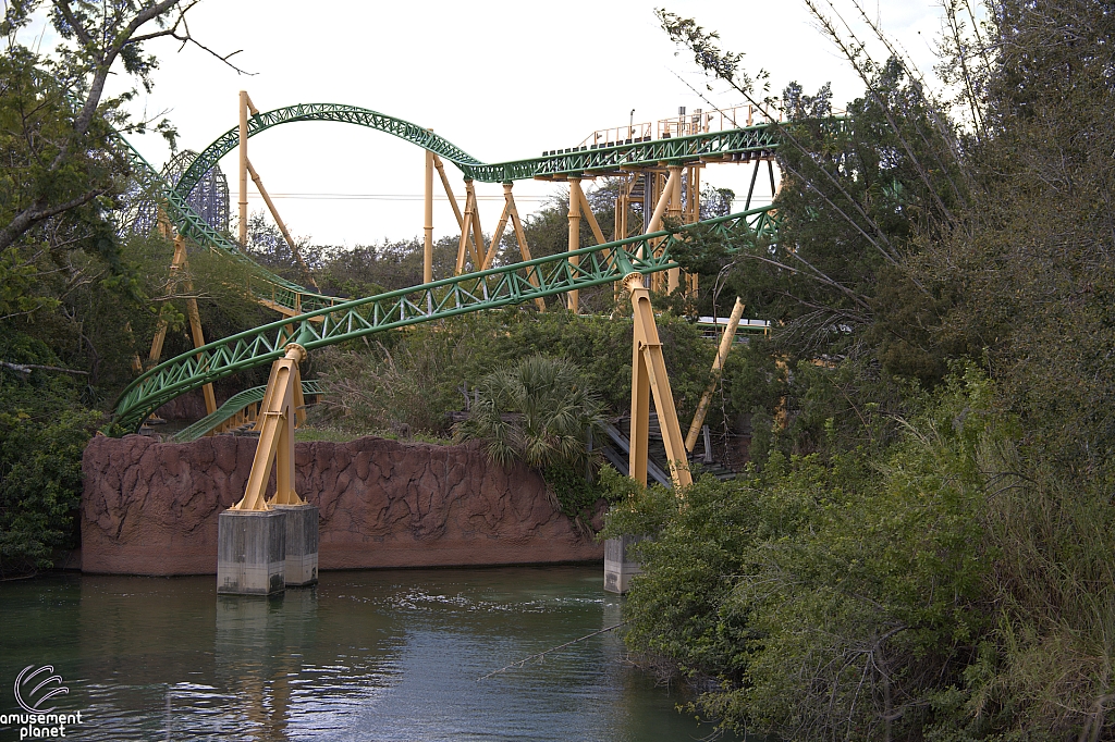 Cheetah Hunt