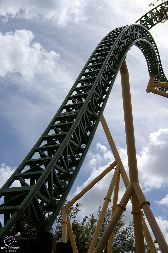 Cheetah Hunt