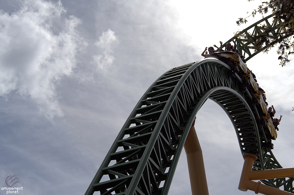 Cheetah Hunt