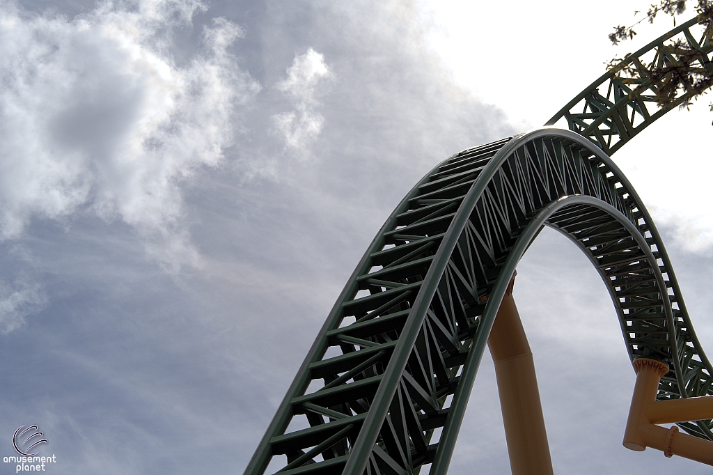 Cheetah Hunt
