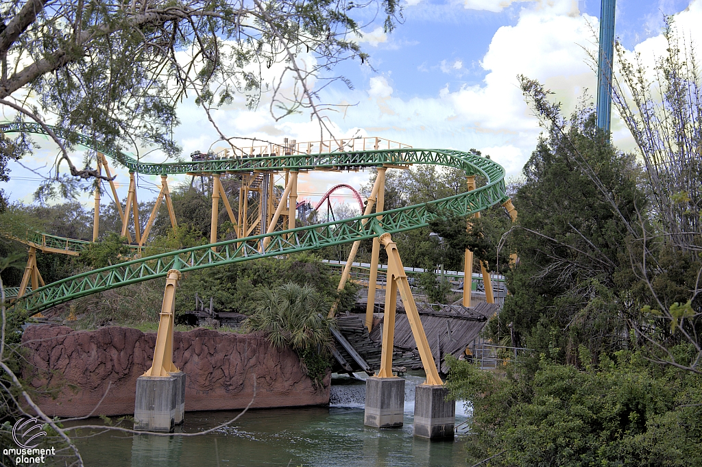 Cheetah Hunt