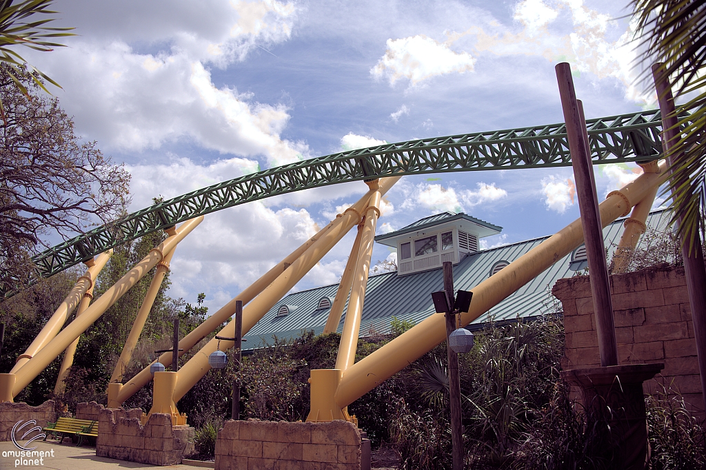 Cheetah Hunt