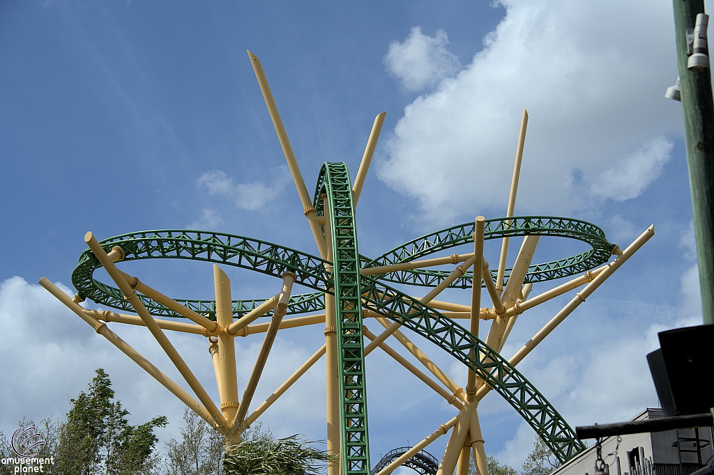 Cheetah Hunt