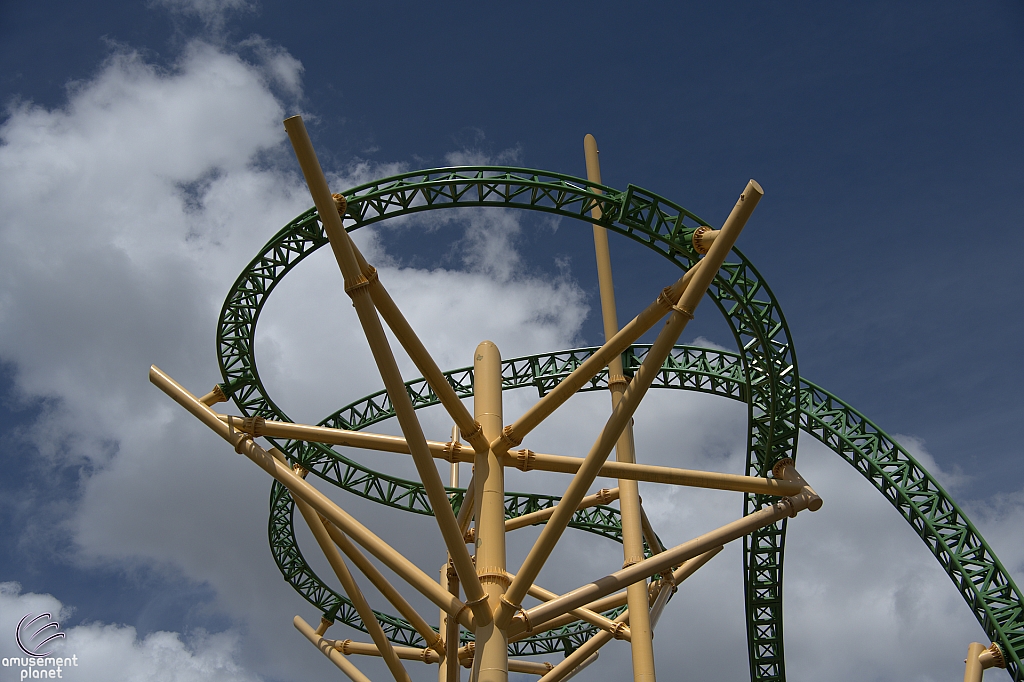 Cheetah Hunt