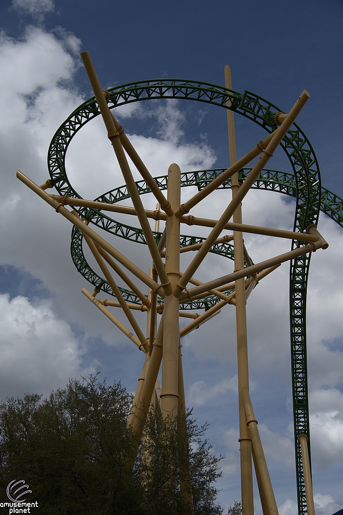 Cheetah Hunt