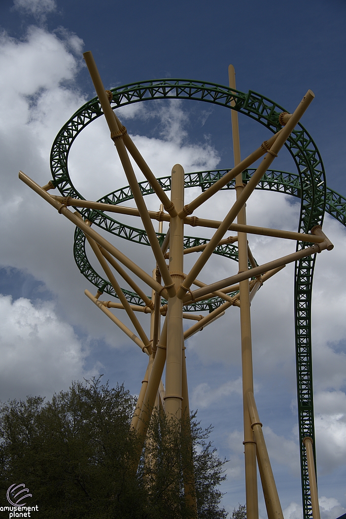 Cheetah Hunt