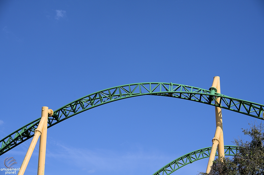 Cheetah Hunt