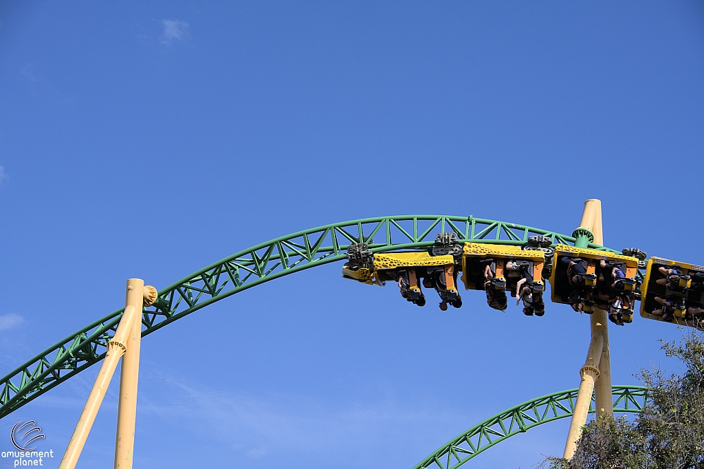 Cheetah Hunt