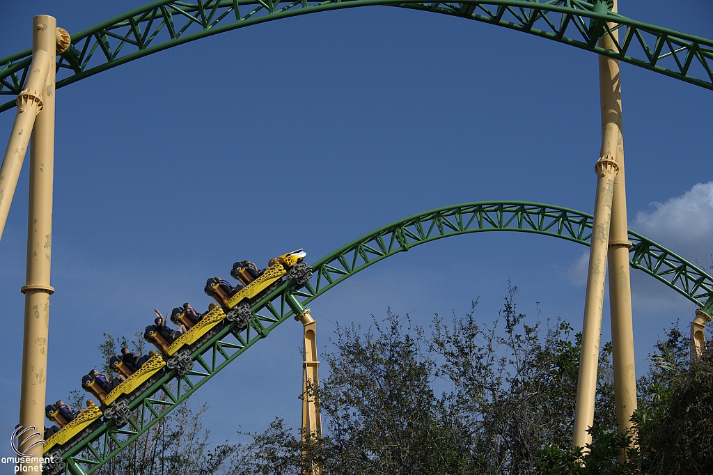 Cheetah Hunt