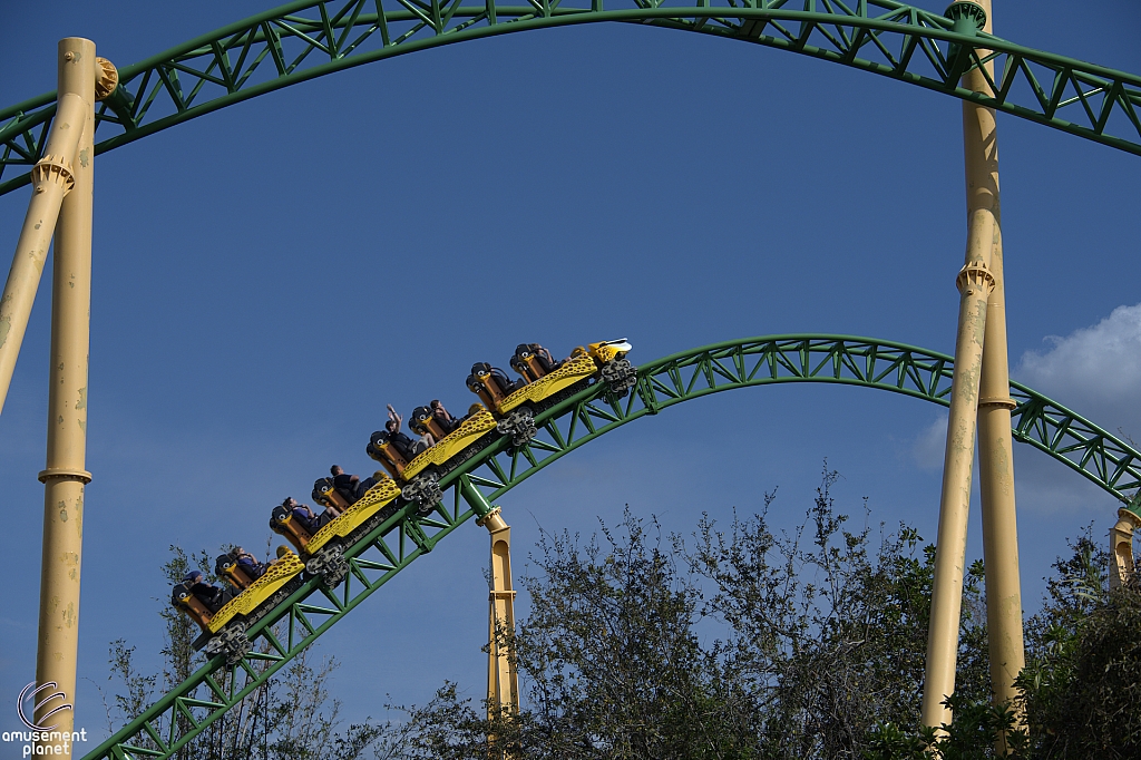 Cheetah Hunt
