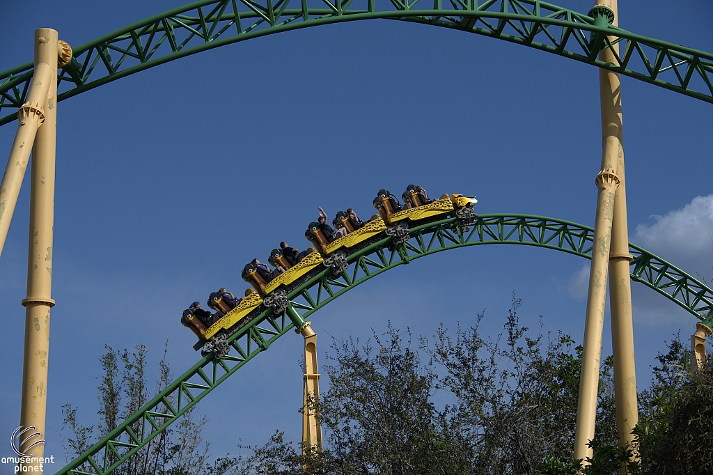 Cheetah Hunt