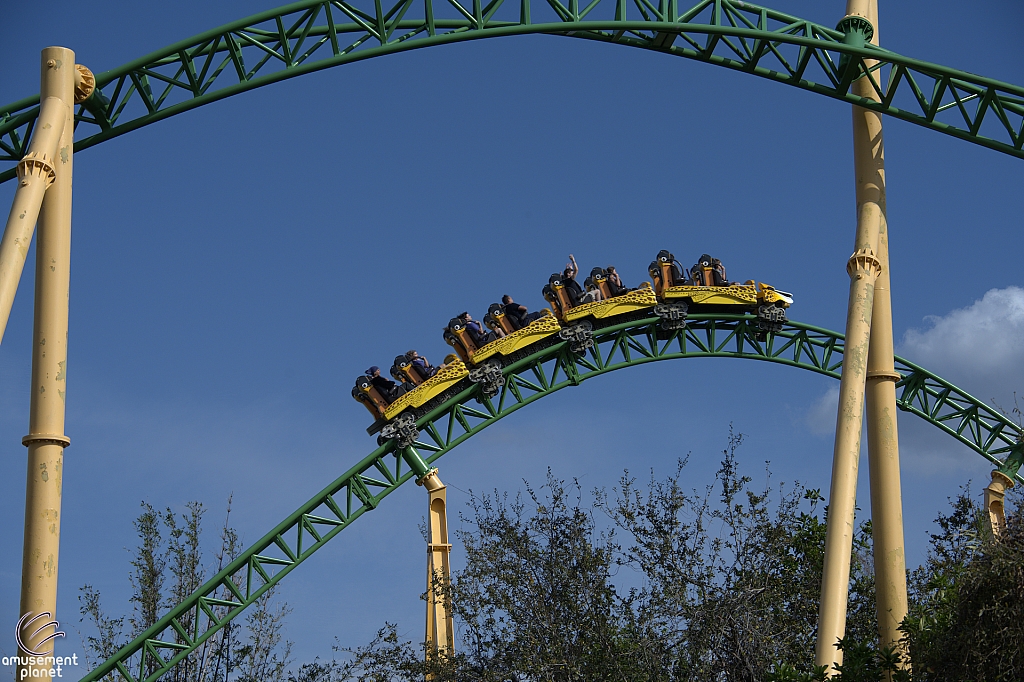 Cheetah Hunt