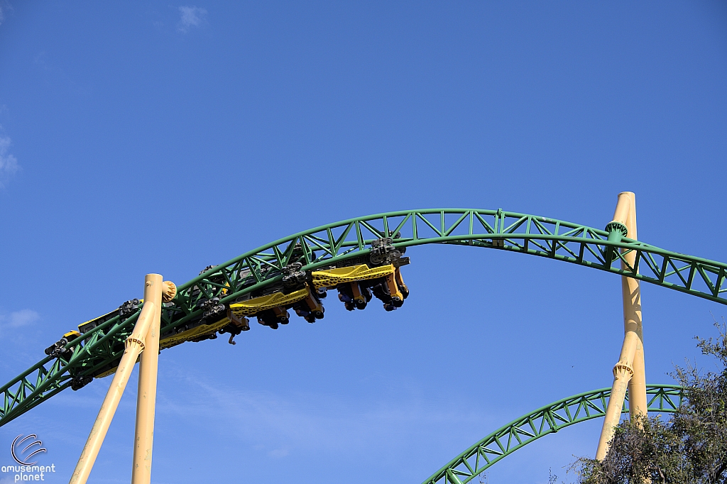 Cheetah Hunt