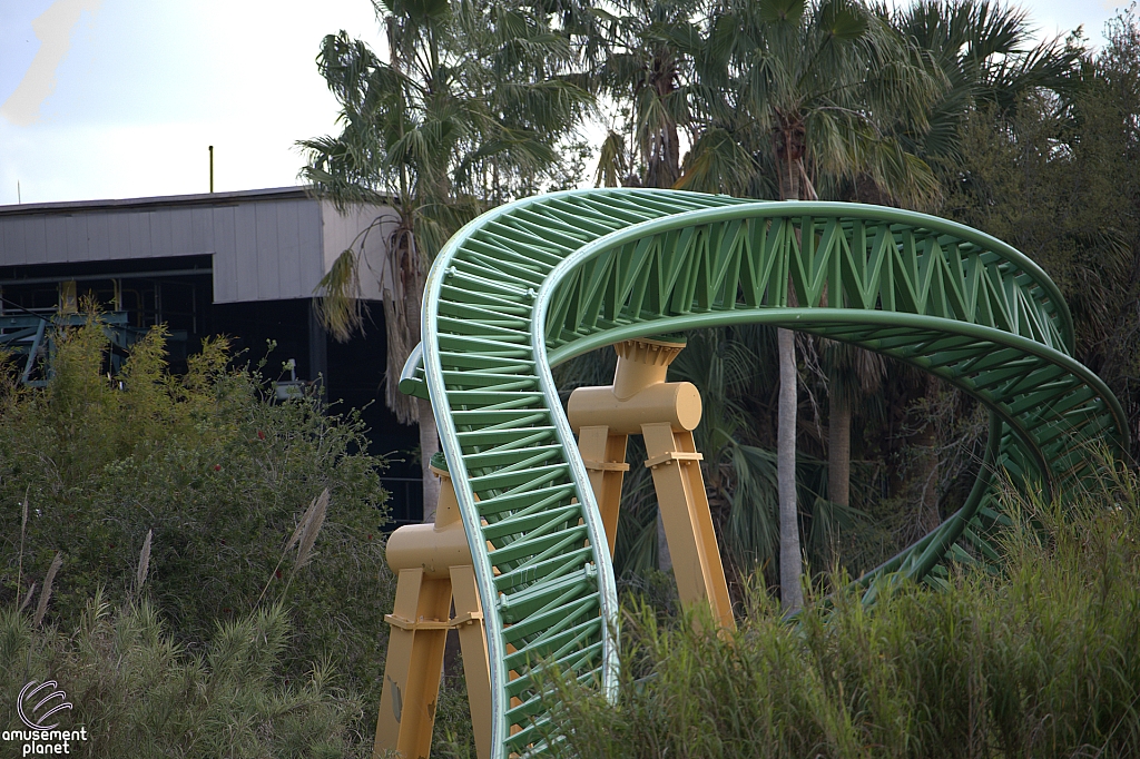 Cheetah Hunt